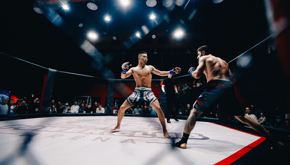 Conor McGregor's UFC Return Ruled Out for 2024