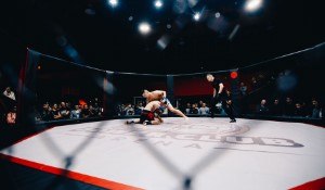 The Fine Line between Free Speech and Professional Responsibility in UFC